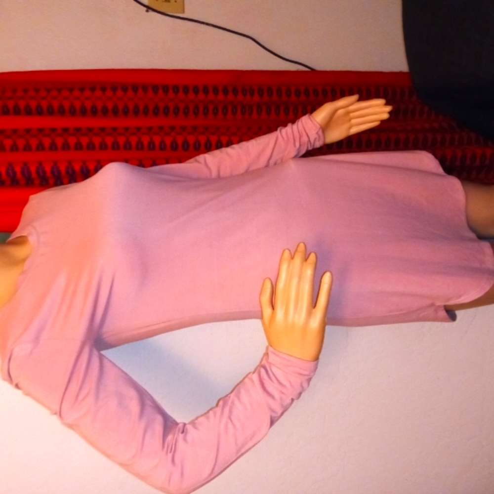 Short Long Sleeve Sexy Dress.   (NWNT)